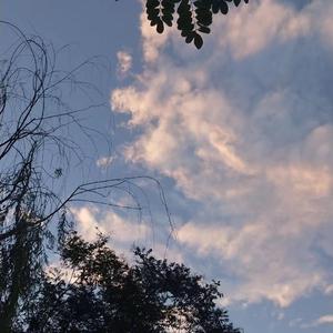 俄罗斯女人吞精囗交
